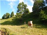 Passo di Costalunga / Karerpass - Roda di Vael / Rotwand